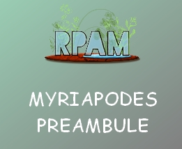 Préambule myriapodes